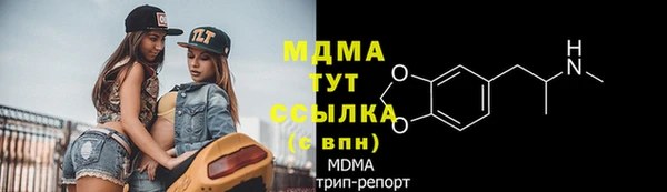 прущие грибы Тында