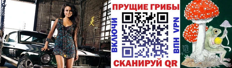 Галлюциногенные грибы MAGIC MUSHROOMS  купить   Безенчук 